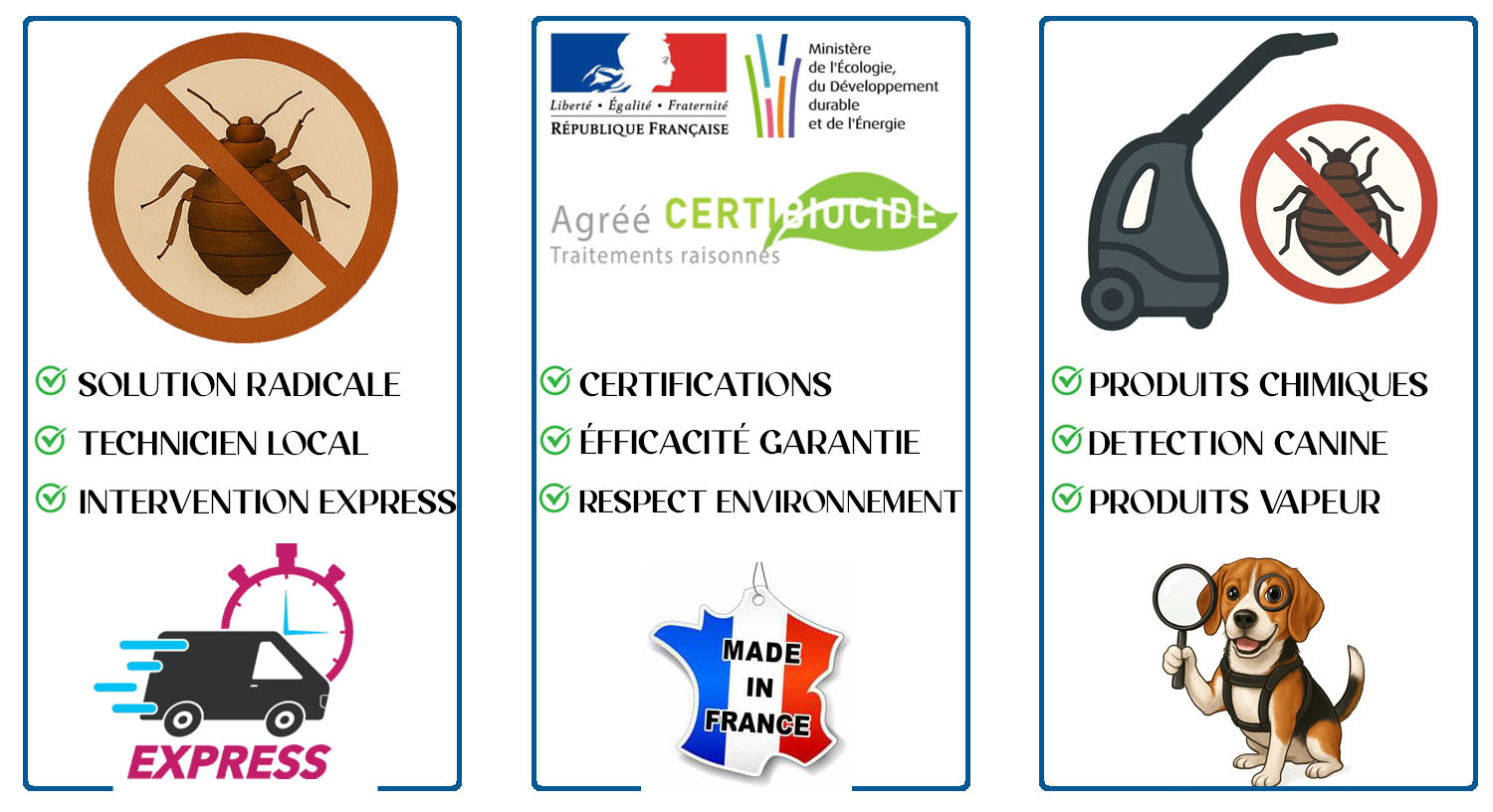 Punaises de Lit Colombes