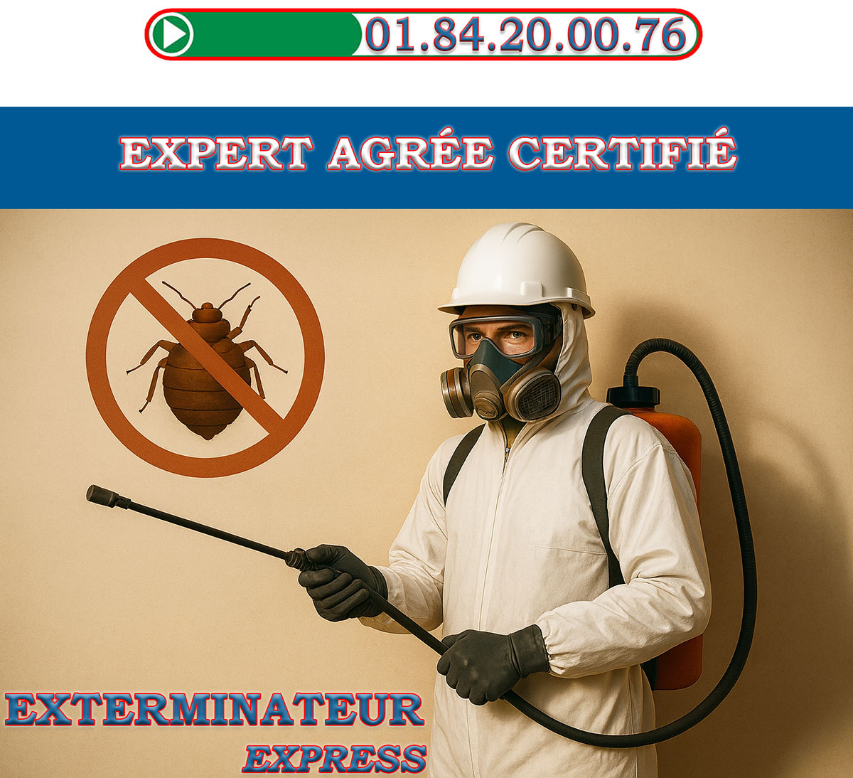 Punaises de Lit Colombes